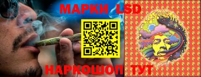МДПВ Новокубанск