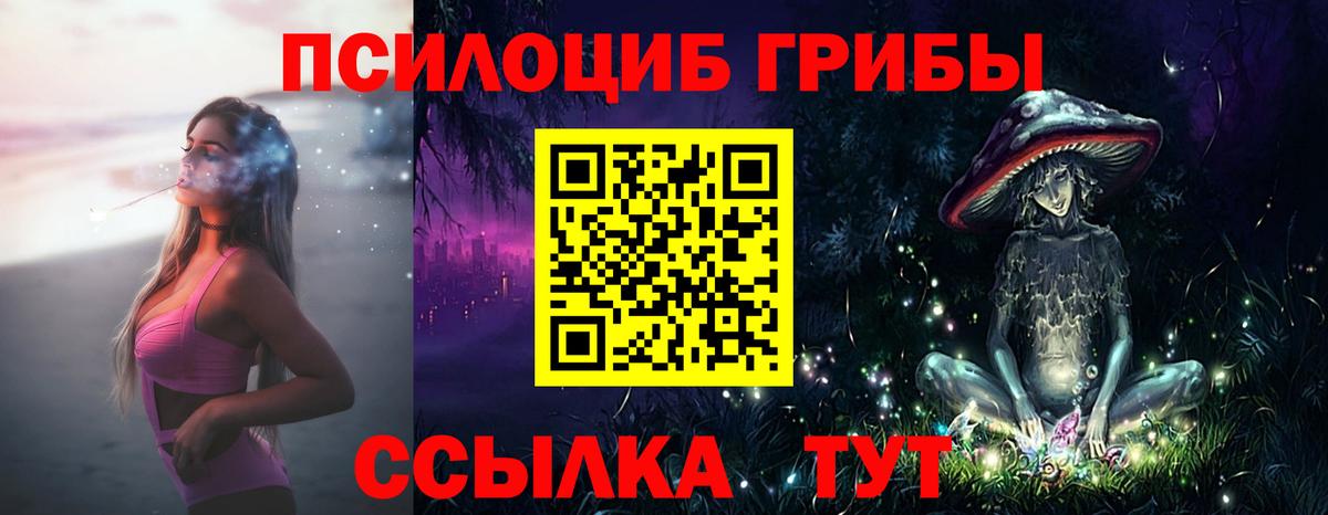 Галлюциногенные грибы мухоморы  Вход с VPN  Похвистнево  Псилоцибиновые грибы GOLDEN TEACHER 